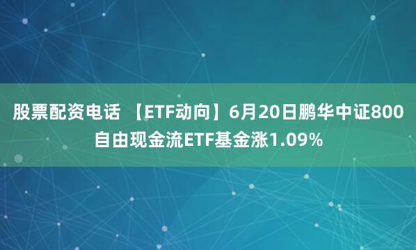 股票配资电话 【ETF动向】6月20日鹏华中证800自由现金流ETF基金涨1.09%