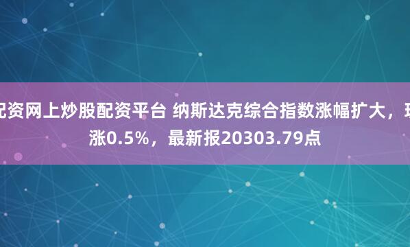 配资网上炒股配资平台 纳斯达克综合指数涨幅扩大，现涨0.5%，最新报20303.79点
